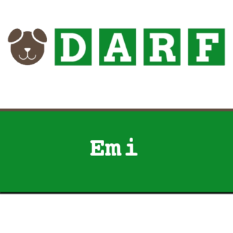 DARF emi 19 x 245 gram