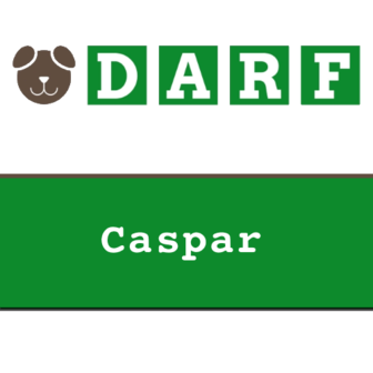 DARF Caspar