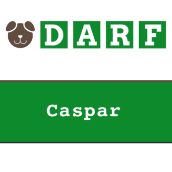 darf caspar 10 x 1 kg rollen