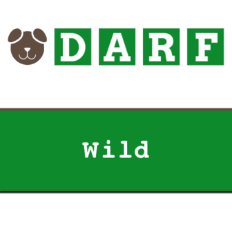 darf wild 10 x 1 kg