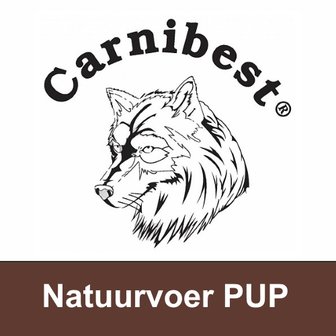 CARNIBEST | NATUURVOER PUP | 500 gram