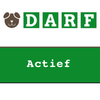 DARF | Actief | rollen 19 x 245 gram