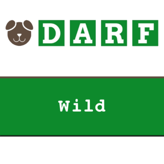DARF | Wild | rollen 19 x 245 gram