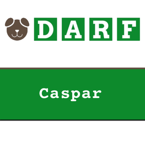 darf caspar 10 x 1 kg rollen