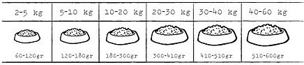 kivi geperst zalm brok