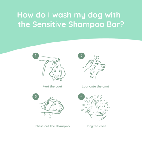 greenfields sensitive shampoo bar