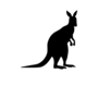 Kangoeroe