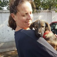 Volg Je hond Volg Je hond