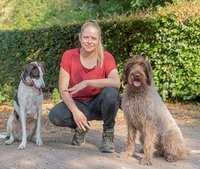 Dogs 2 School Dogs 2 School