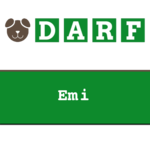 DARF | Emi | rollen 10 x 1000 gram