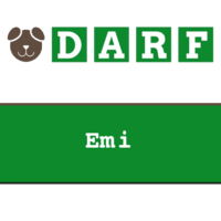 DARF | Emi | rollen 19 x 245 gram