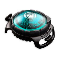 ORBILOC | Dog Dual | Turquoise
