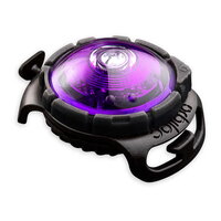 ORBILOC | Dog Dual | Paars